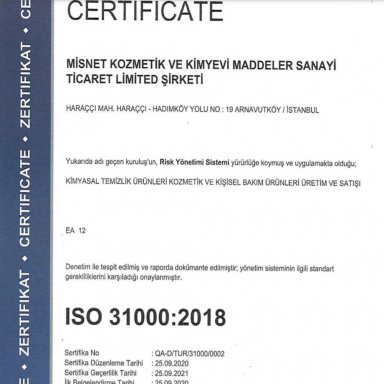 ISO31000.2018