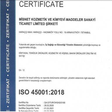 ISO45001.2018